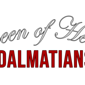 Queen of Hearts Dalmatians